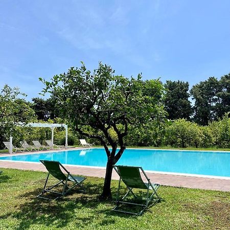 Chiusa Di Carlo Agriturismo 아볼라 외부 사진