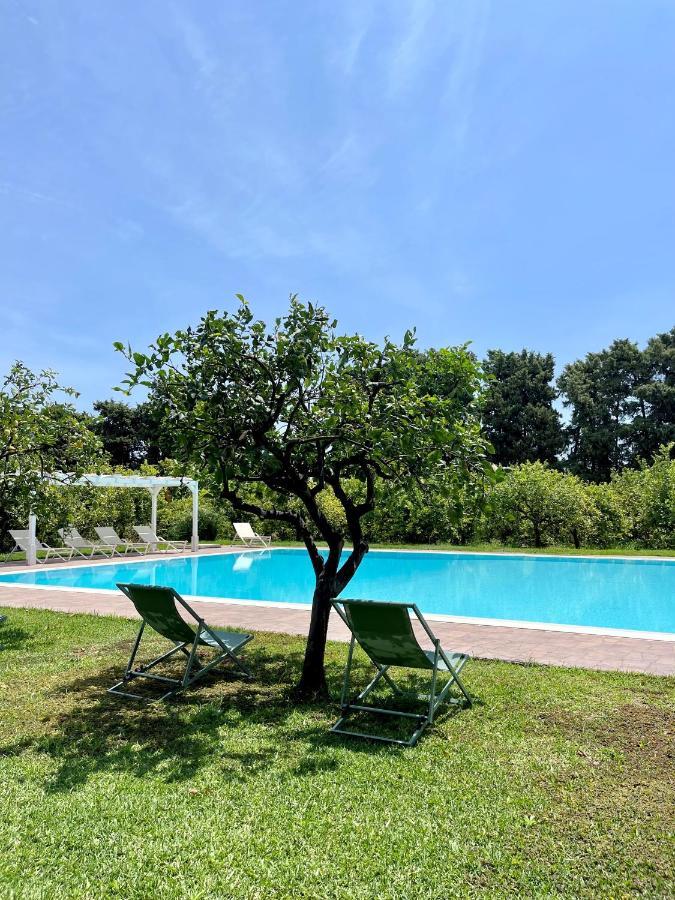 Chiusa Di Carlo Agriturismo 아볼라 외부 사진
